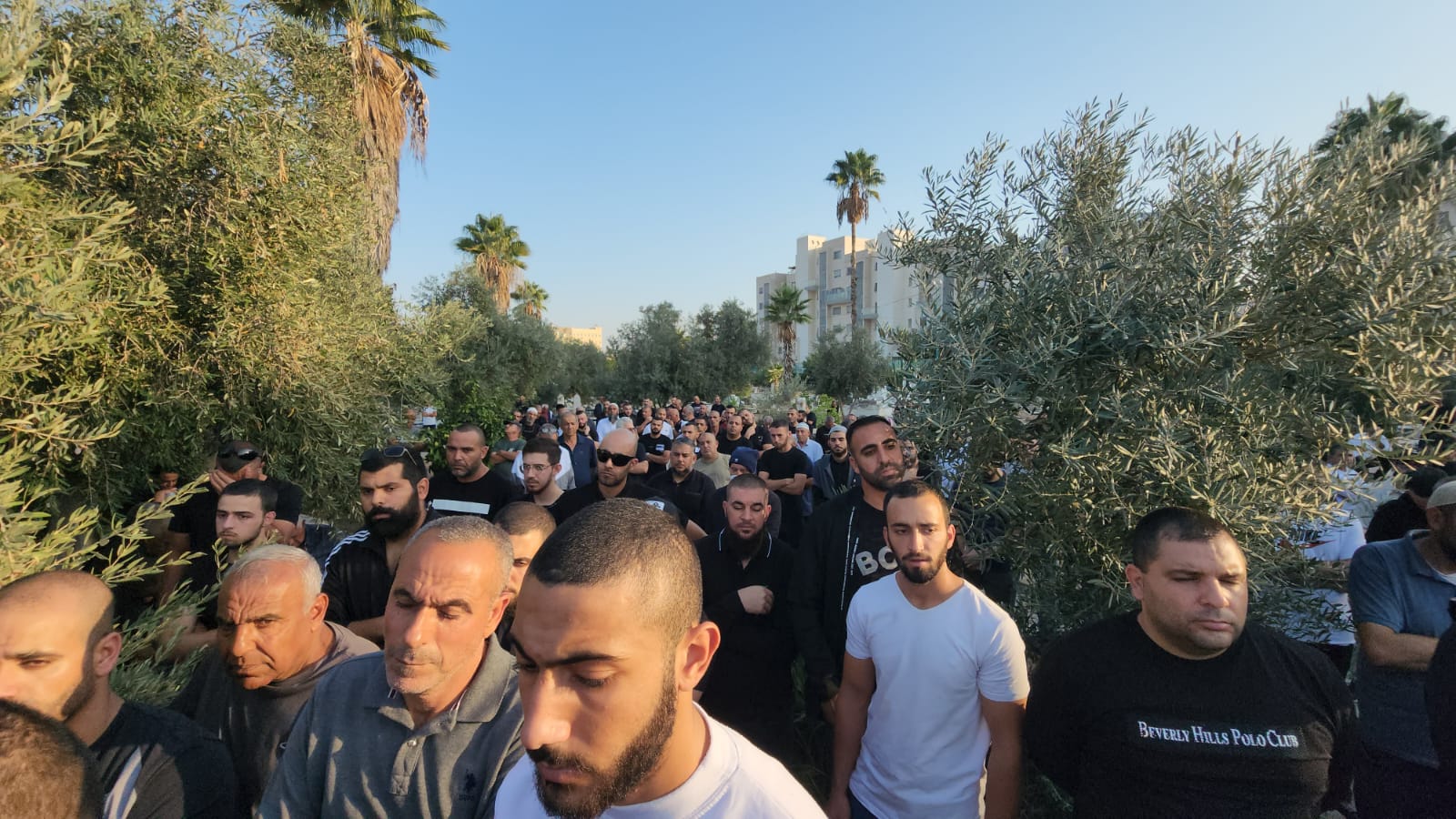 WhatsApp Image 2022-11-12 at 4.36.04 PM.jpeg